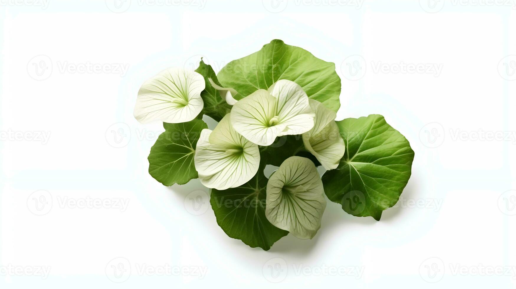 flower isolated floral nature plant spring leaf background summer generative Ai. photo
