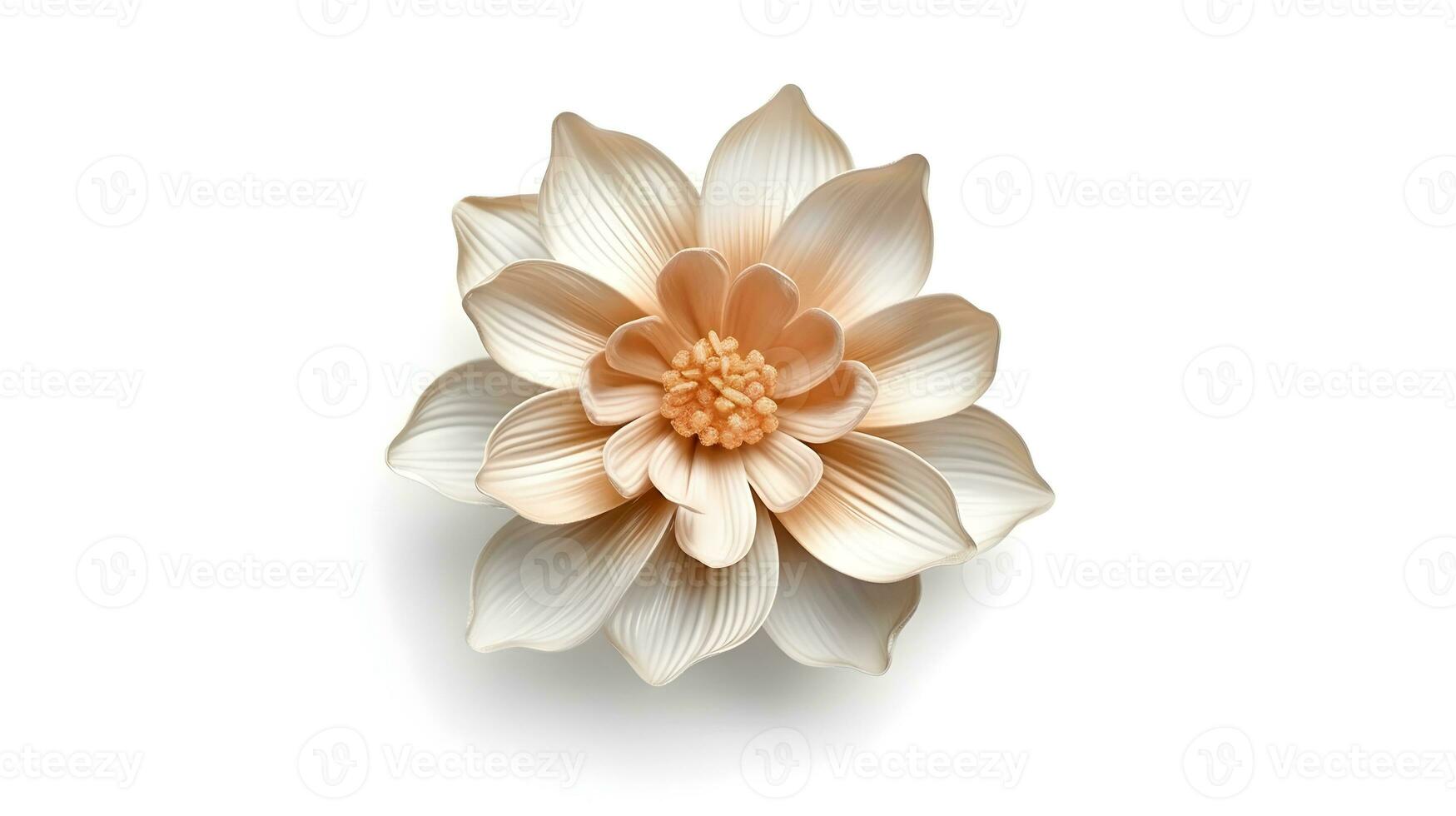 flower isolated floral nature plant spring leaf background summer generative Ai. photo
