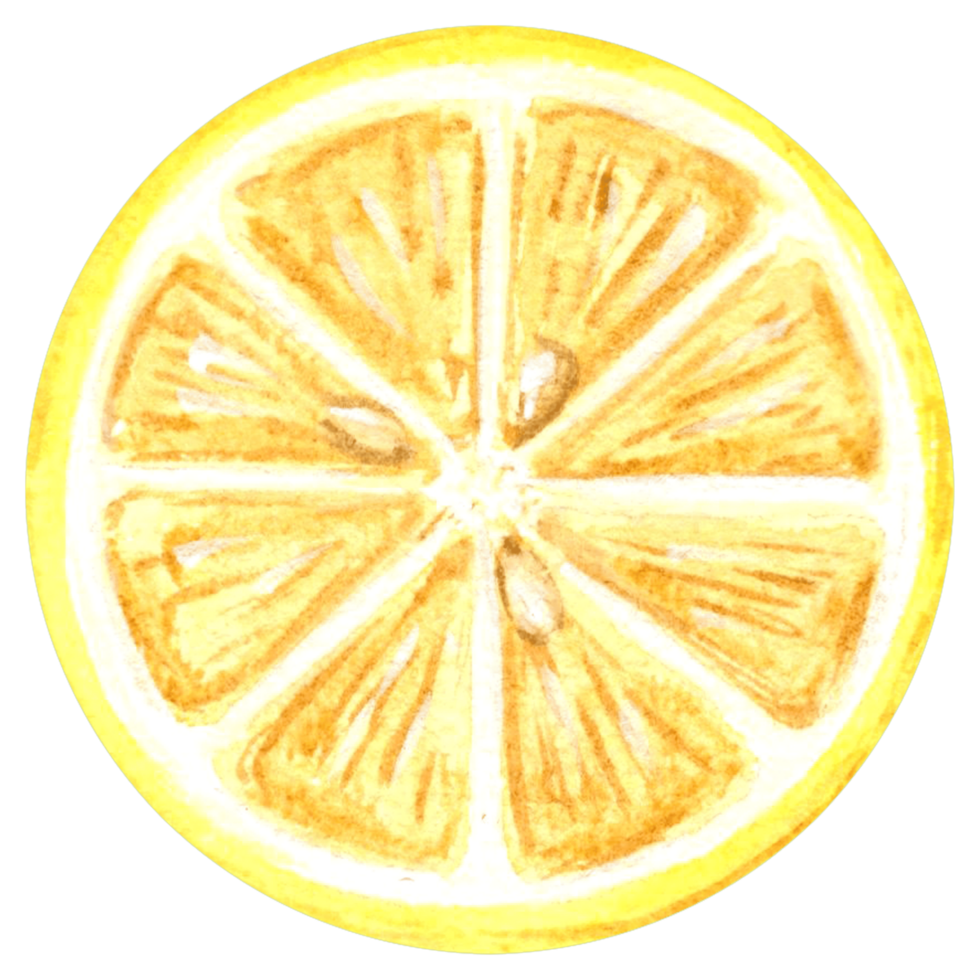 Watercolor drawing of a cut round yellow lemon slice. Hand drawn illustration   for design, holiday card, making stickers, embroidery and  packaging, print on dishes, towels and kitchen textiles png