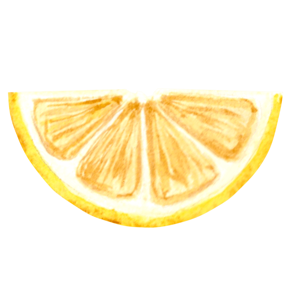 Watercolor drawing of a cut yellow lemon slice. Hand drawn illustration   for design, holiday card, making stickers, embroidery and  packaging, printing on dishes, towels and kitchen textiles png