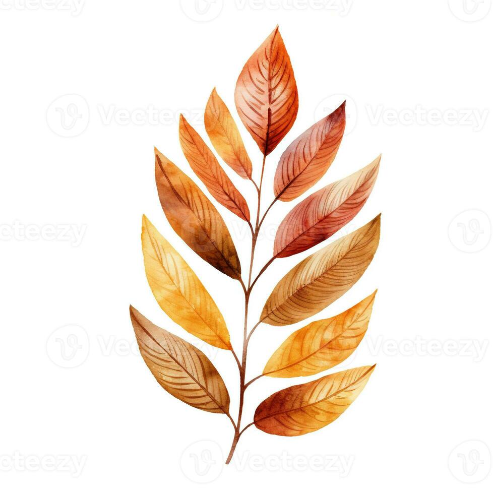 Bright watercolor autumn leaf. Illustration, single element on white background. Generative AI photo