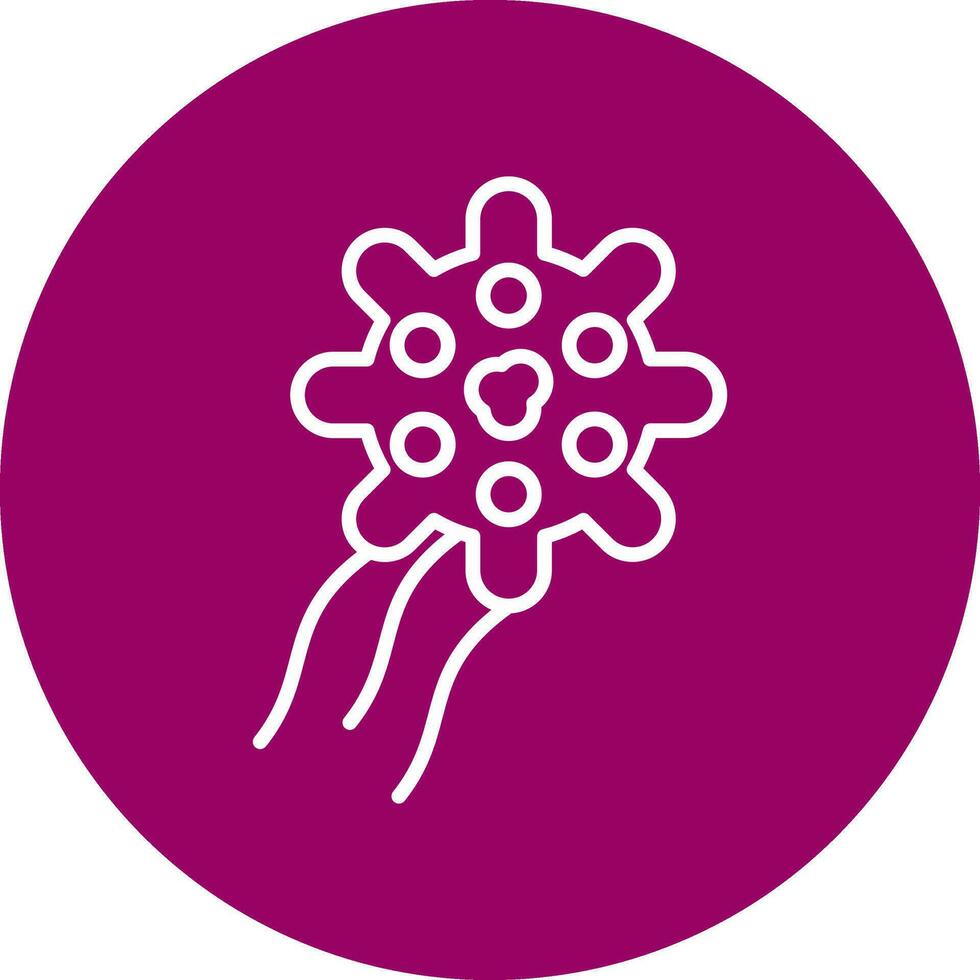 tetracoccus Vector Icon