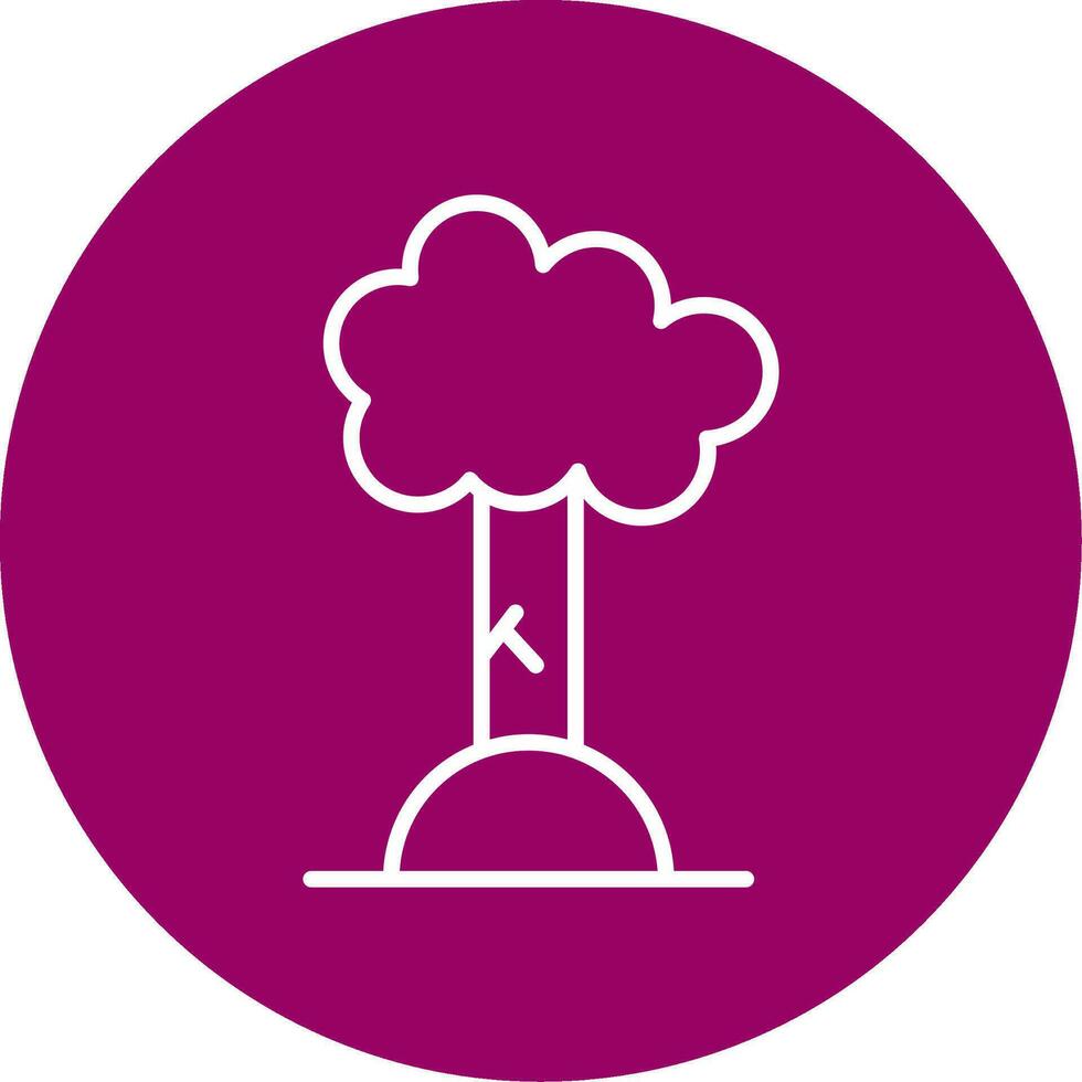 Beech Vector Icon