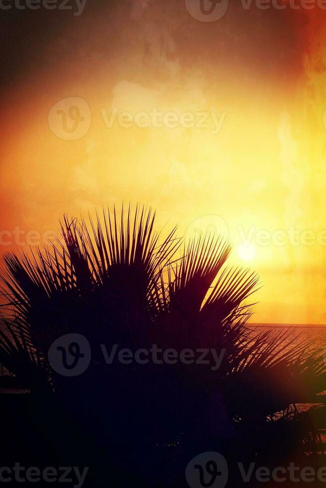 picturesque ocean landscape with the setting sun in a tropical country during summer holidays with palm photo