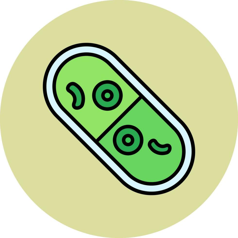 Cylindrocystis Vector Icon