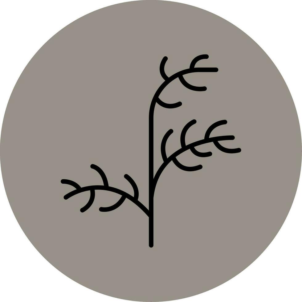 Dill Vector Icon