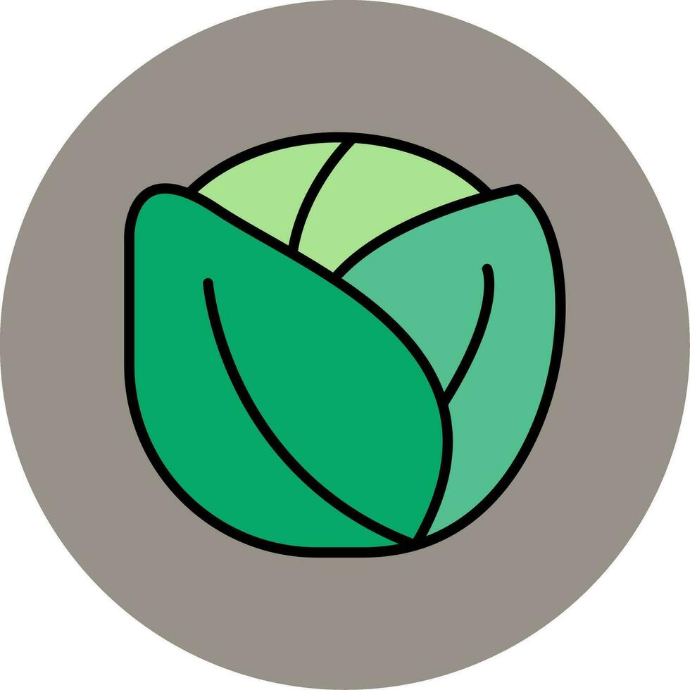 Brussels Sprouts Vector Icon