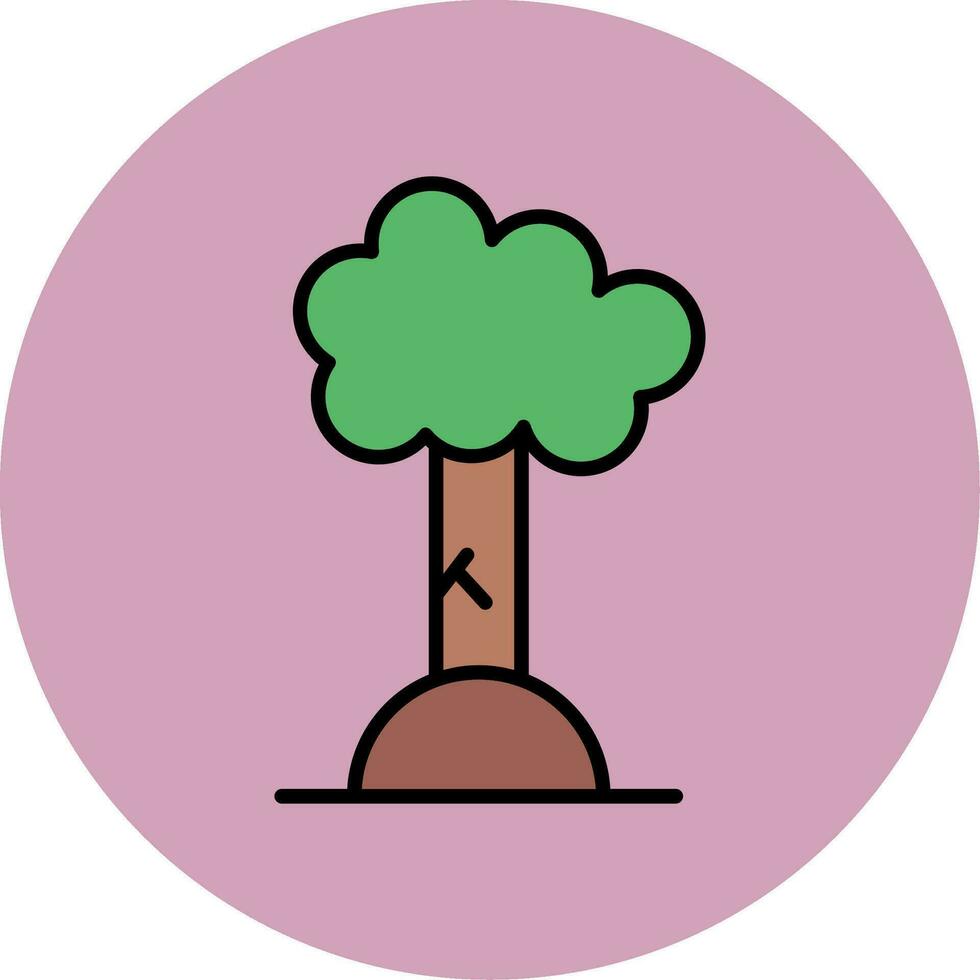 Beech Vector Icon