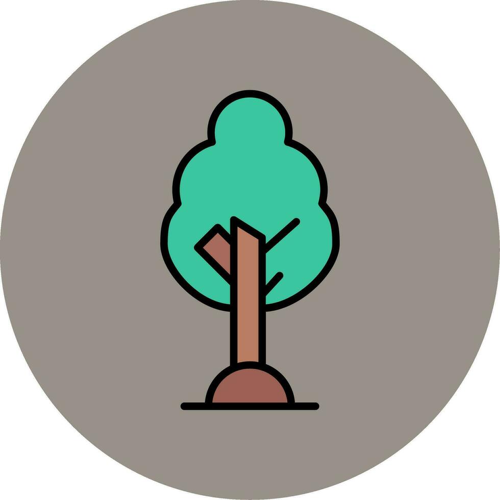 Birch Vector Icon