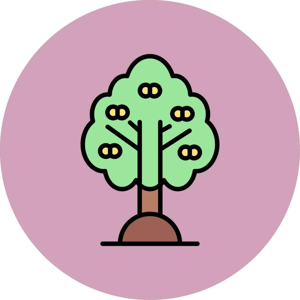 Apricot Vector Icon