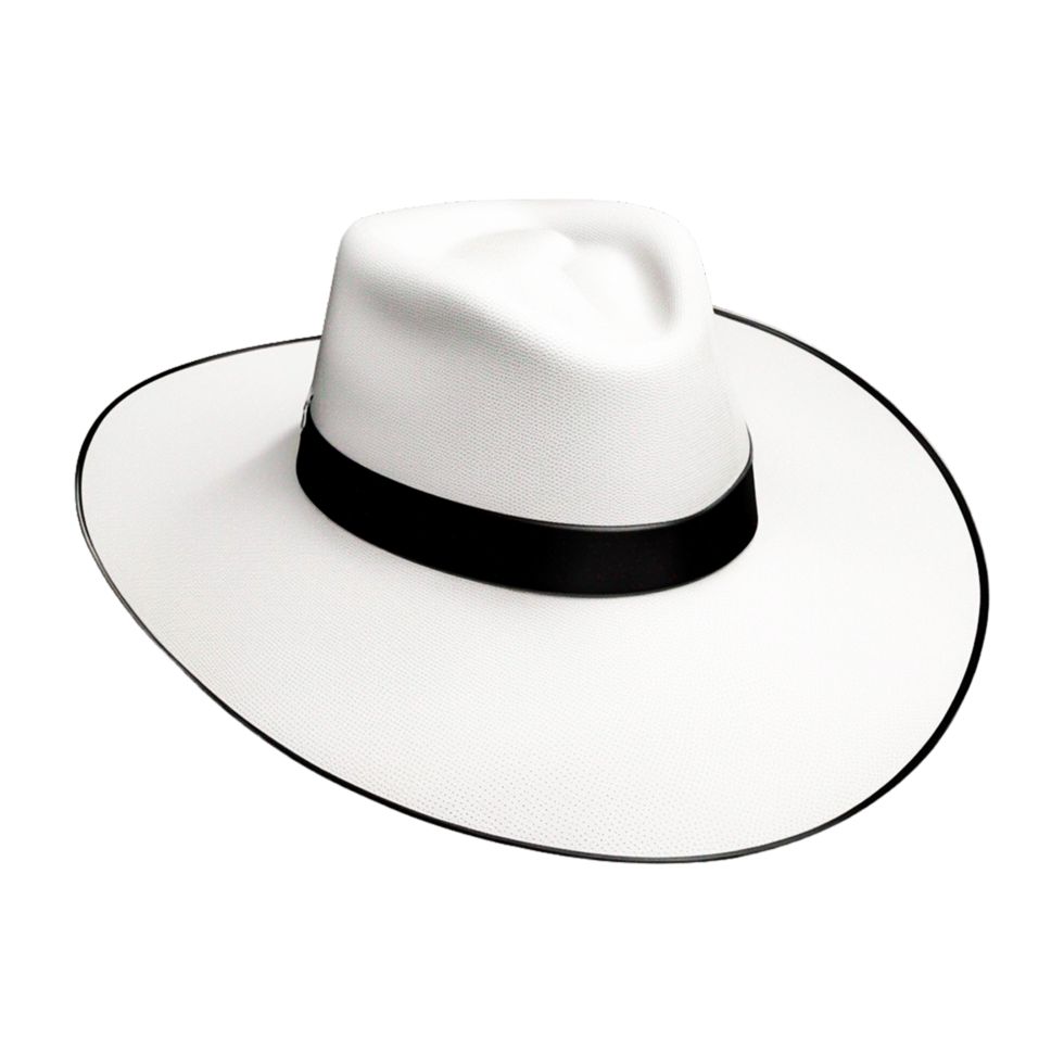 hatt distribuidora nacional de sombreros sombrero generativ ai png