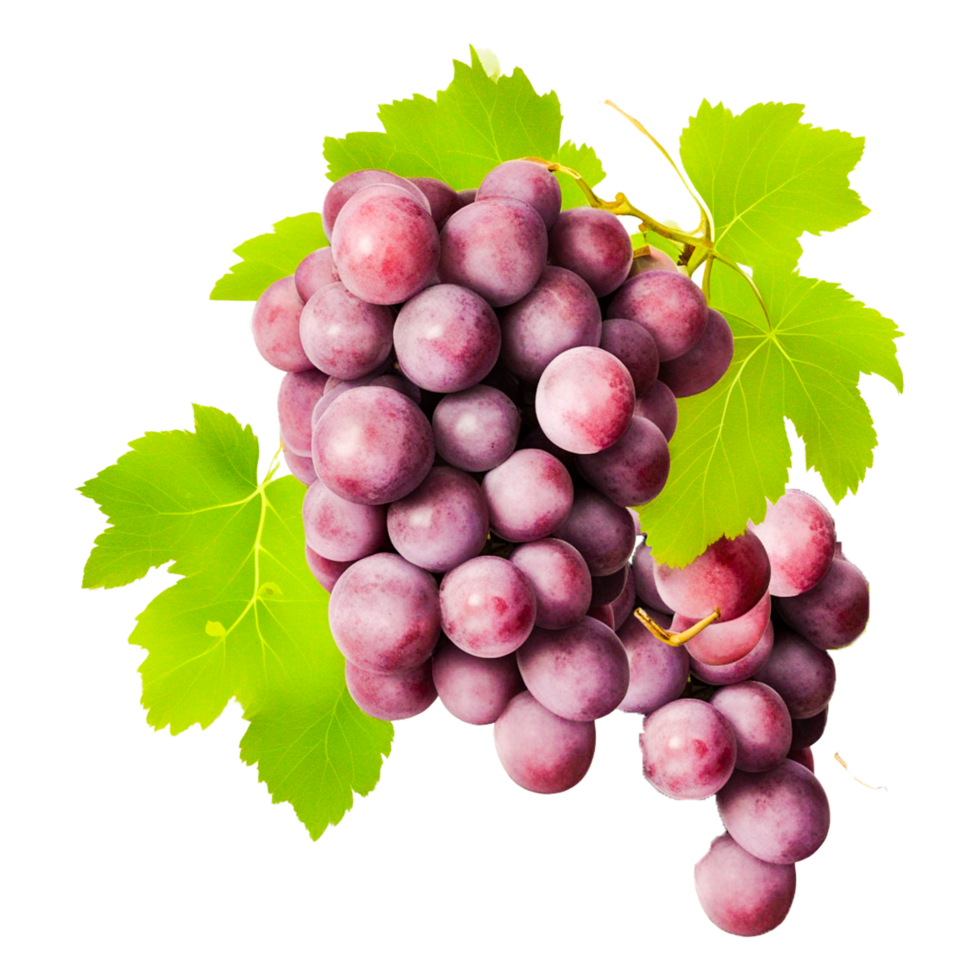 Red Grapes With Leaves Generative Ai png