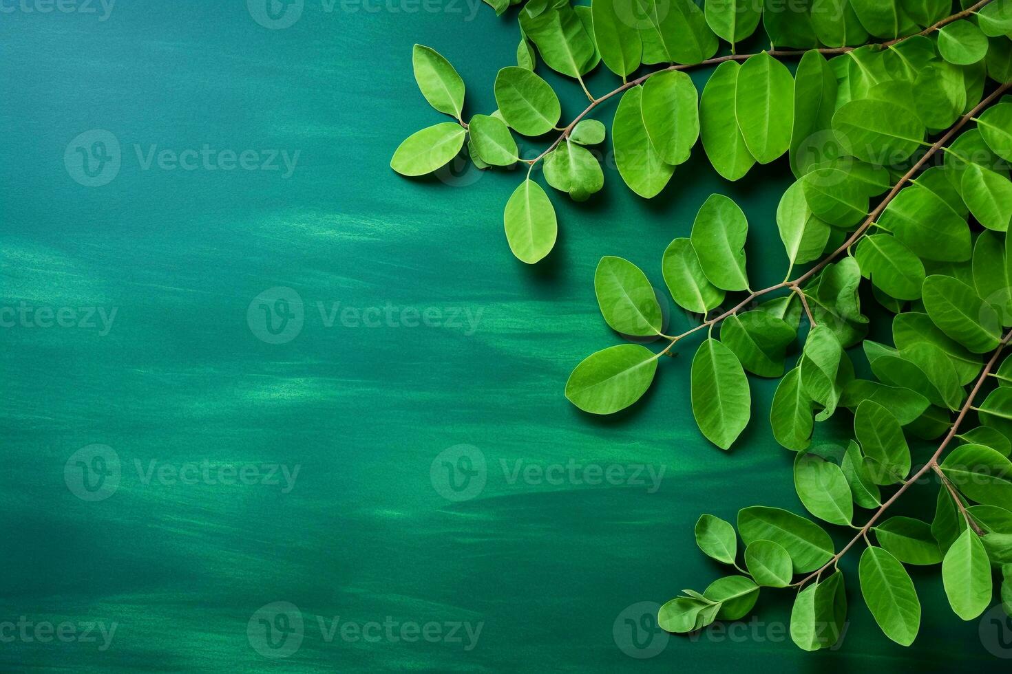 Fresh moringa leaves on blue background. Top view with copy space. AI generated. photo