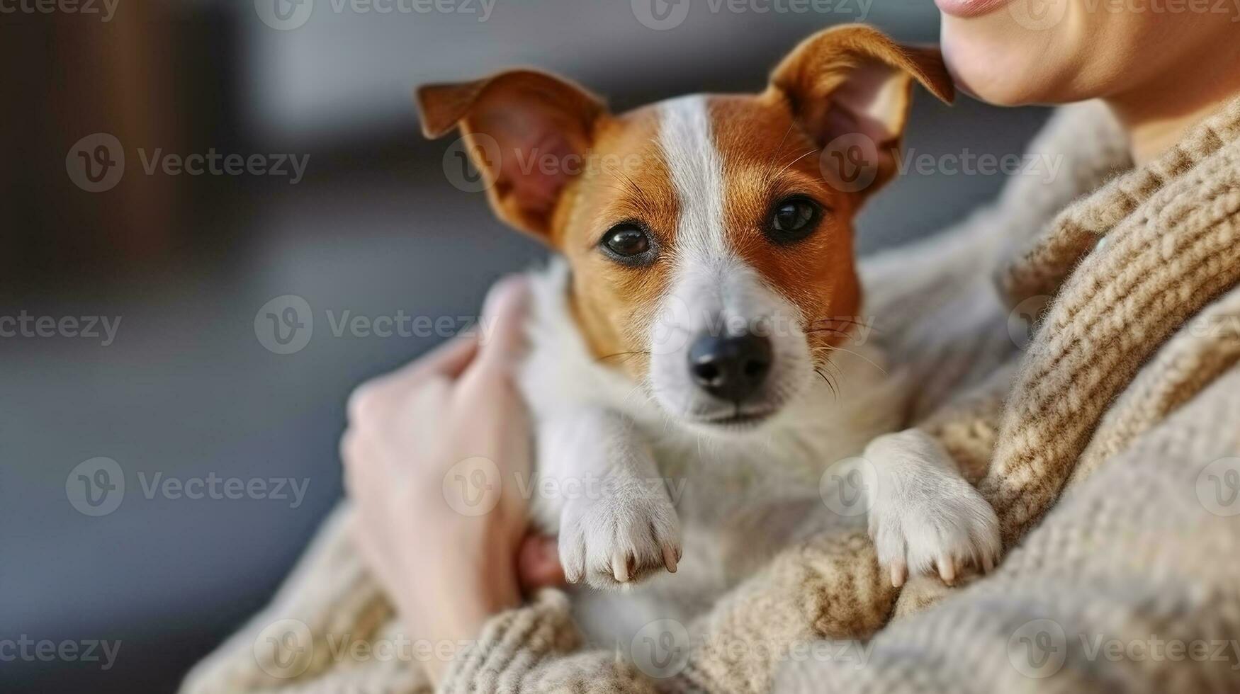 Adorable jack russell terrier pup sitting with its female owner. Generative AI photo