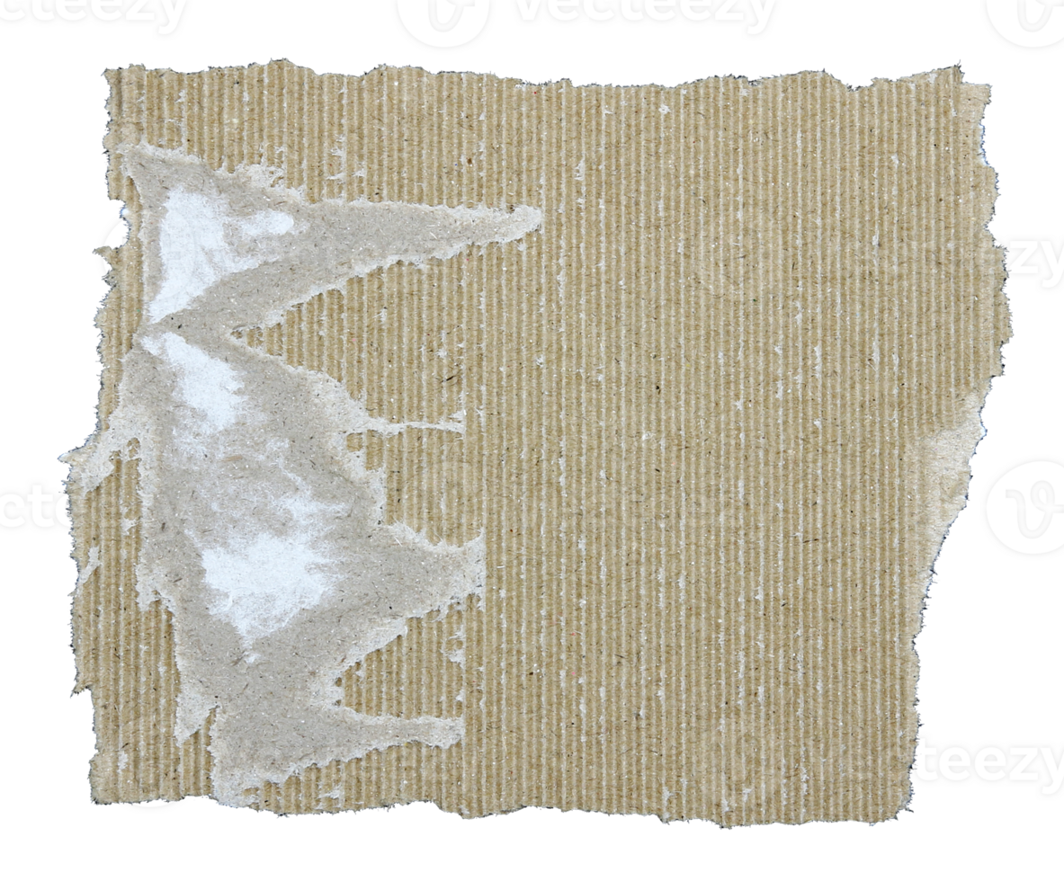 Torn pieces of corrugated paper on transparent background png file