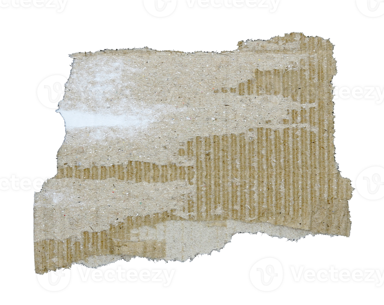 Torn pieces of corrugated paper on transparent background png file