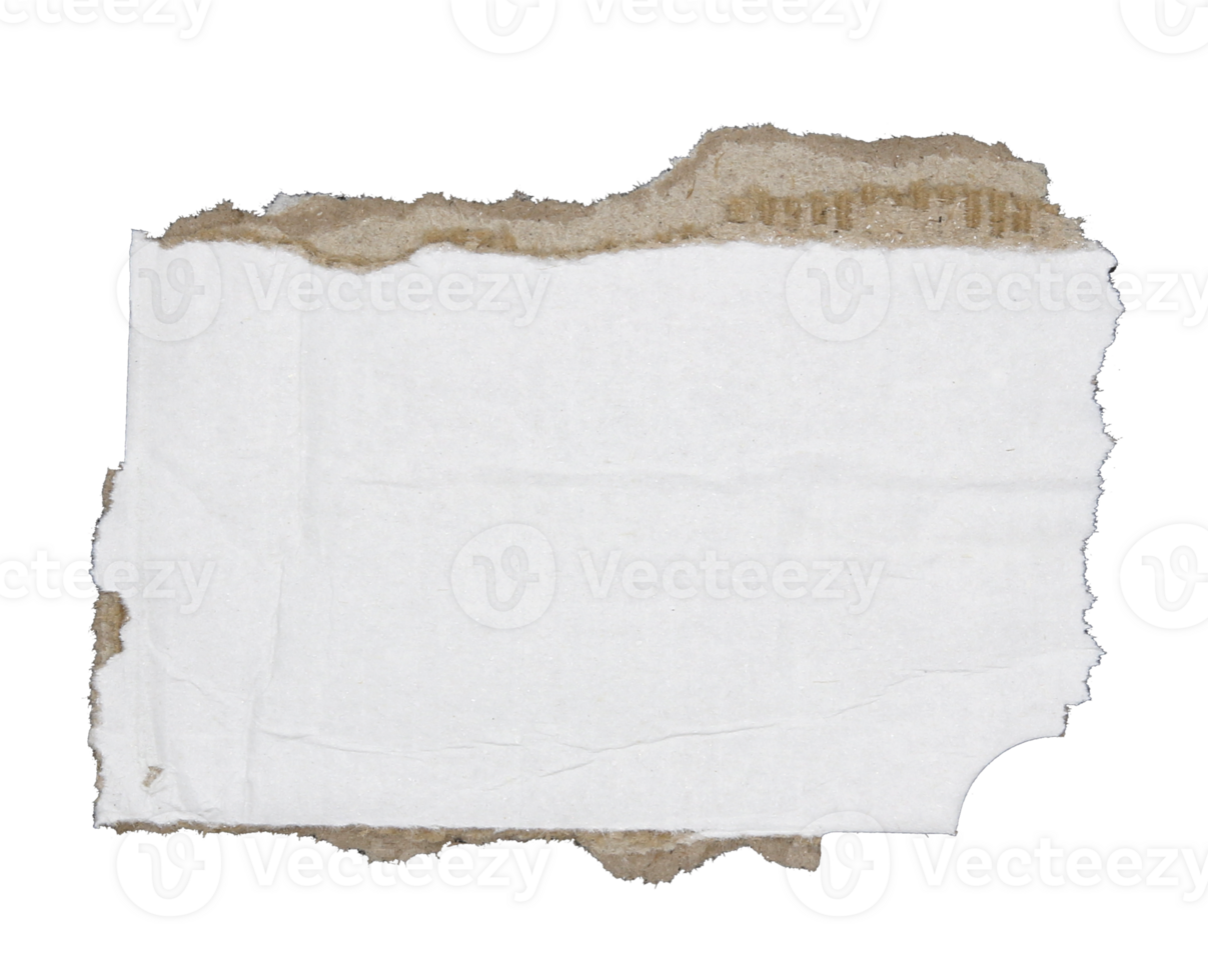 Torn pieces of corrugated paper on transparent background png file