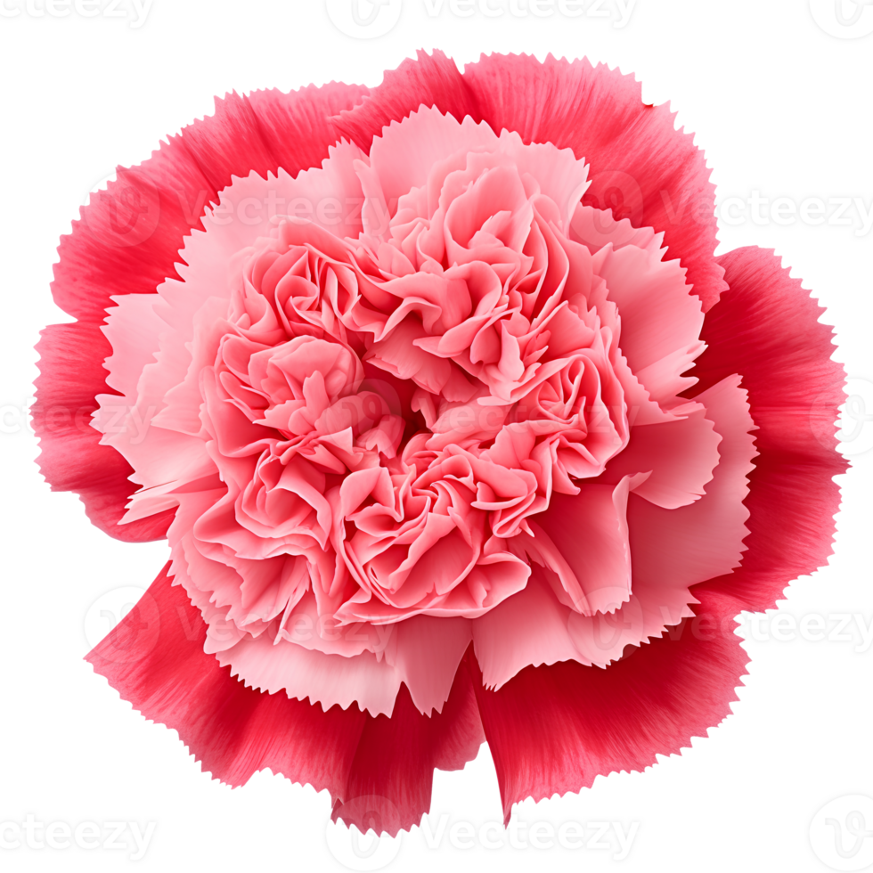 Flower isolated on transparent background cutout. AI Generative png