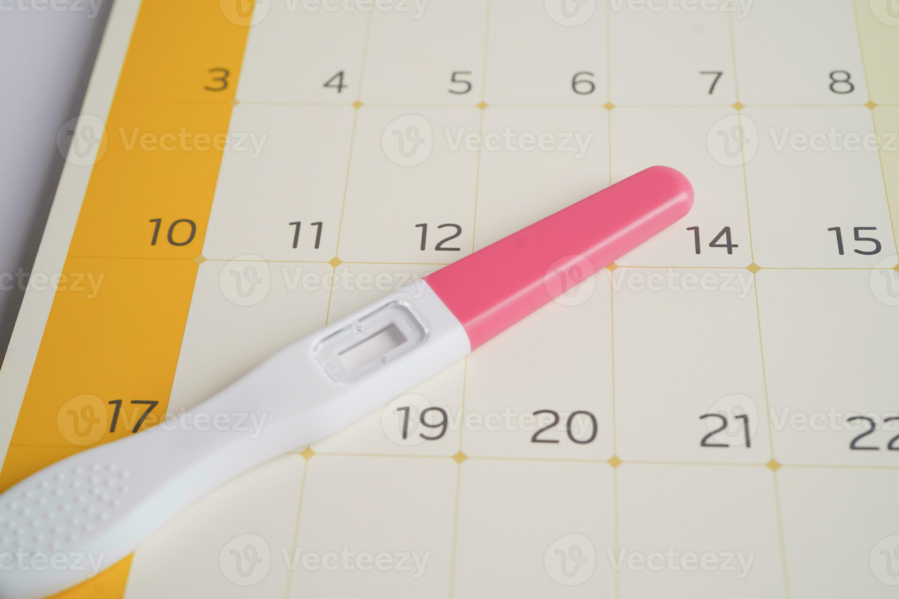 Pregnancy test for female of ovulation day, fetus, maternity