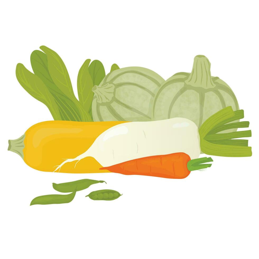 Lots of vegetables. Harvesting vector illustration. Daikon, squash, peas, turnips, lettuce leaves. Isolated on a white background.