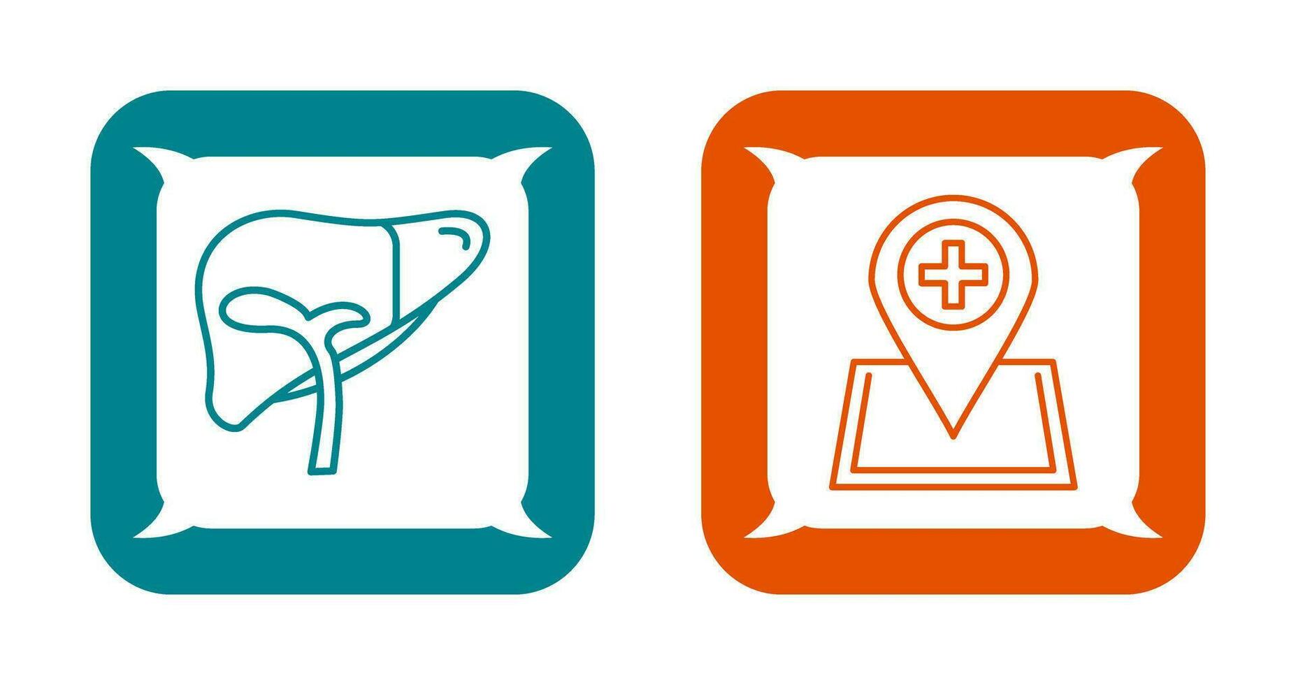 Liver and Location Icon vector