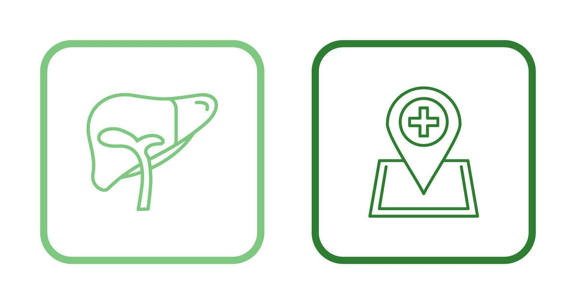 Liver and Location Icon vector