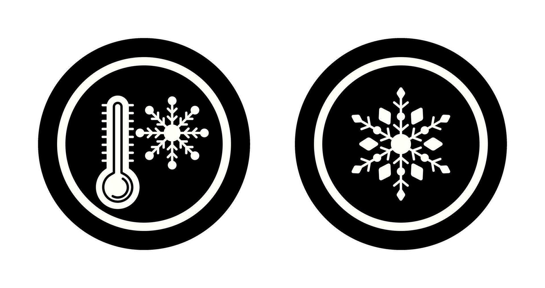 Snow Flake and Cold Icon vector