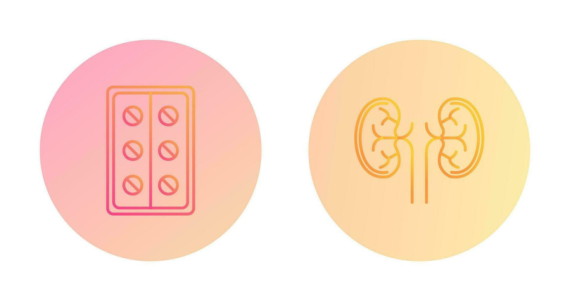 Pills and Kidney Icon vector