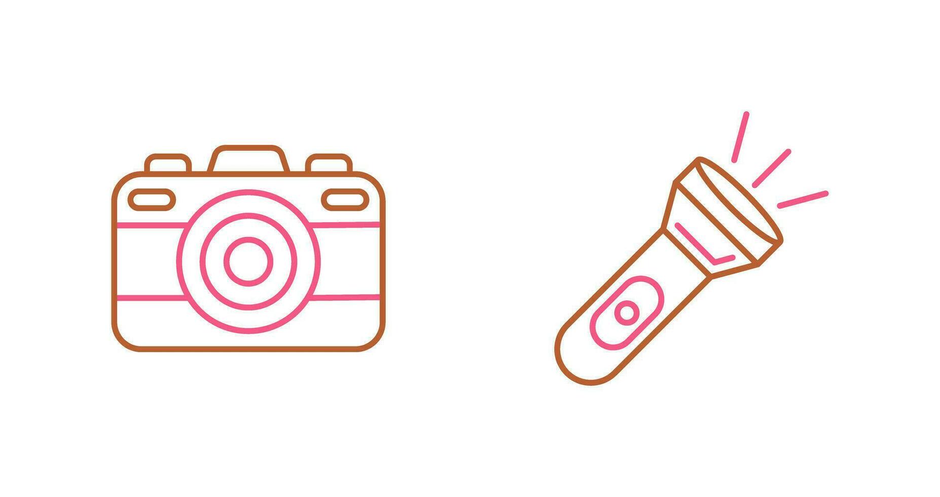 Camera and Flash Light Icon vector