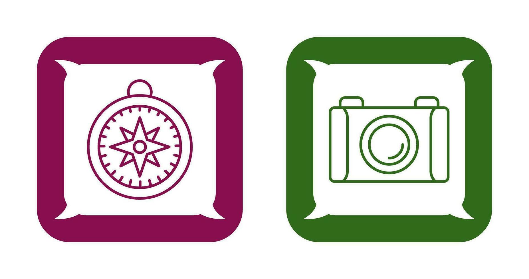 Compass and Camera Icon vector
