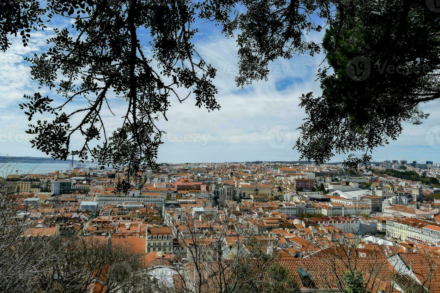 View of a city from the top of the hill photo