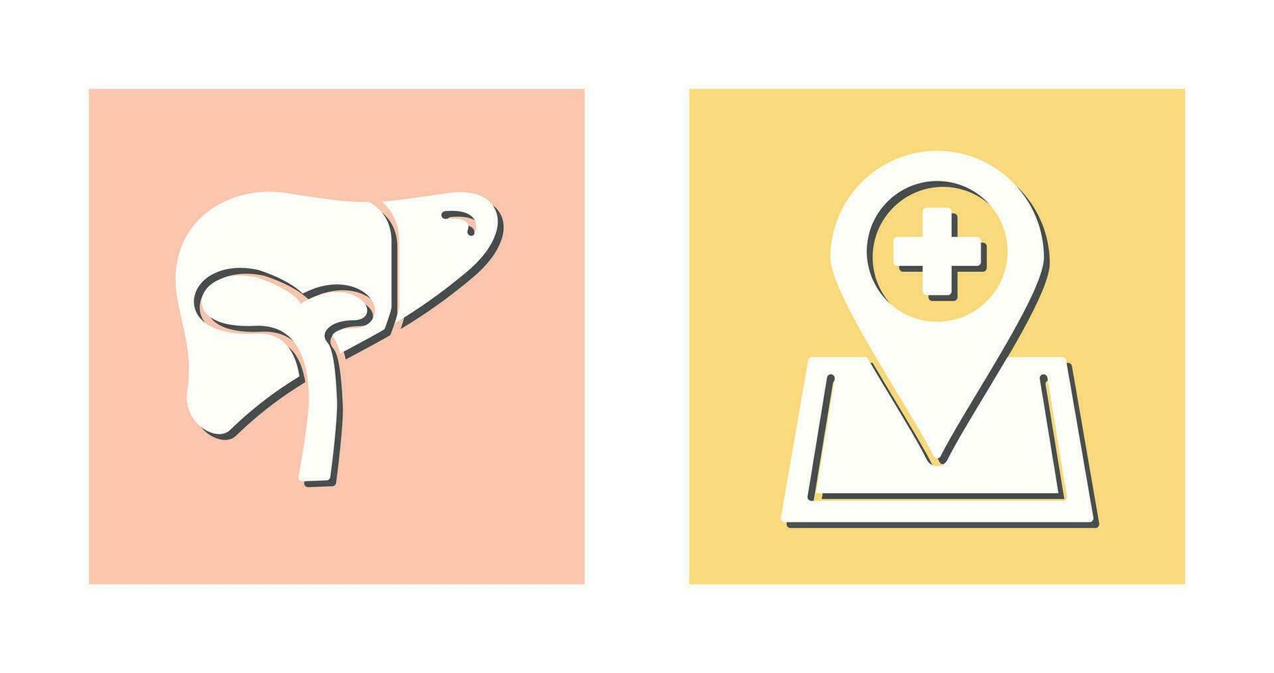 Liver and Location Icon vector