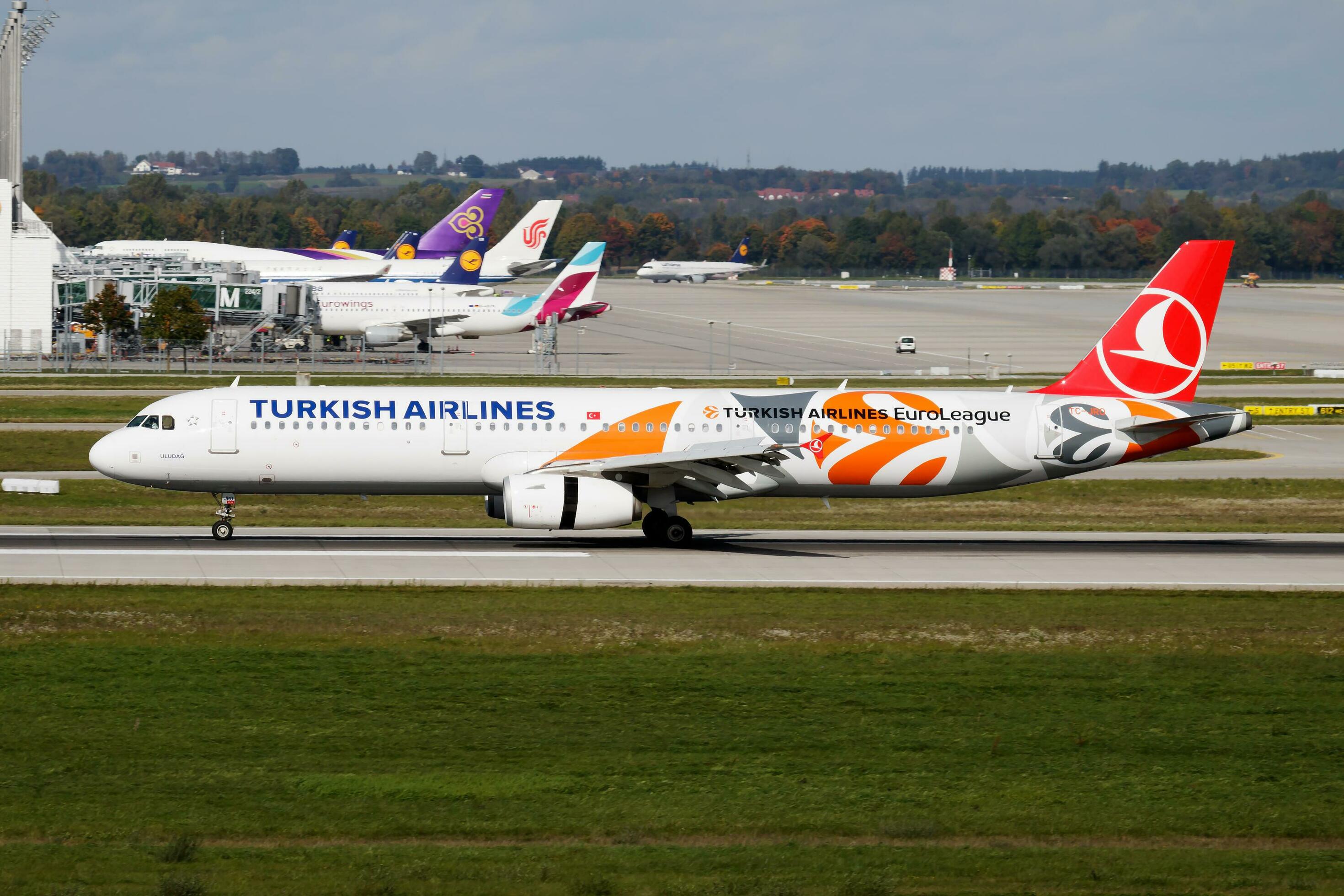 航空機・ヘリコプター Turkish Airlines Airbus A321neo 1/100 Airbus A321neo | Fleet | Turkish Airlines ®