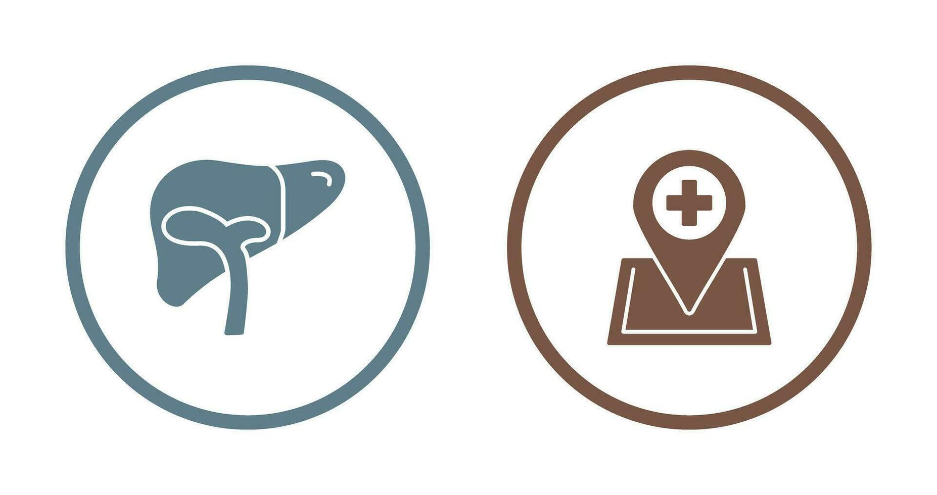 Liver and Location Icon vector