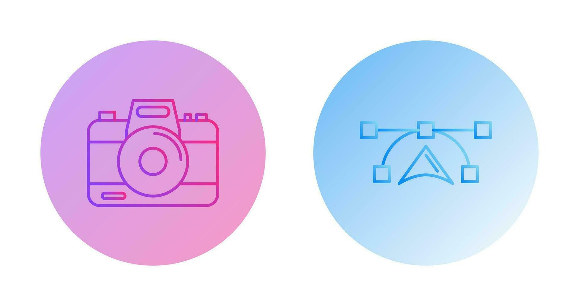 Camera and Vectors Icon