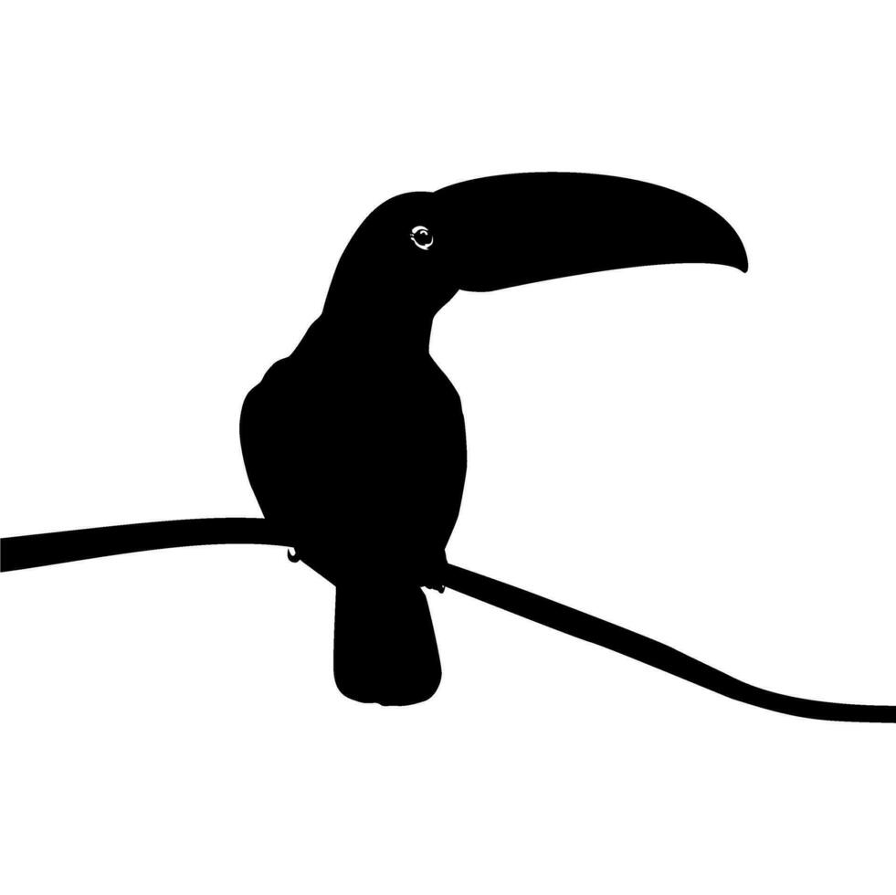 Toucans are Neotropical members of the near passerine bird family Ramphastidae. The Ramphastidae are most closely related to the American barbets, Bird Silhouette. Vector Illustration