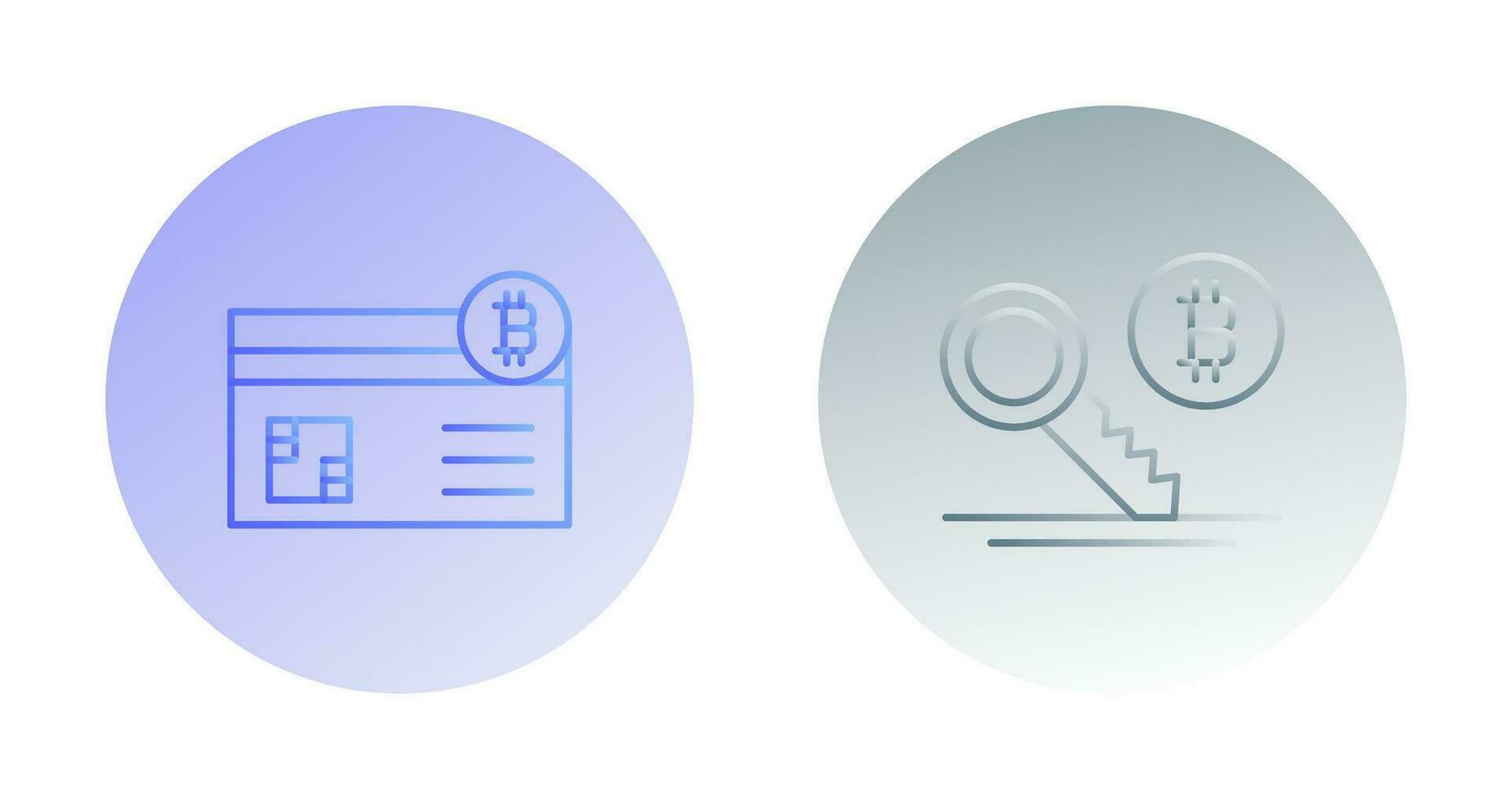 Credit Card and Key Icon vector