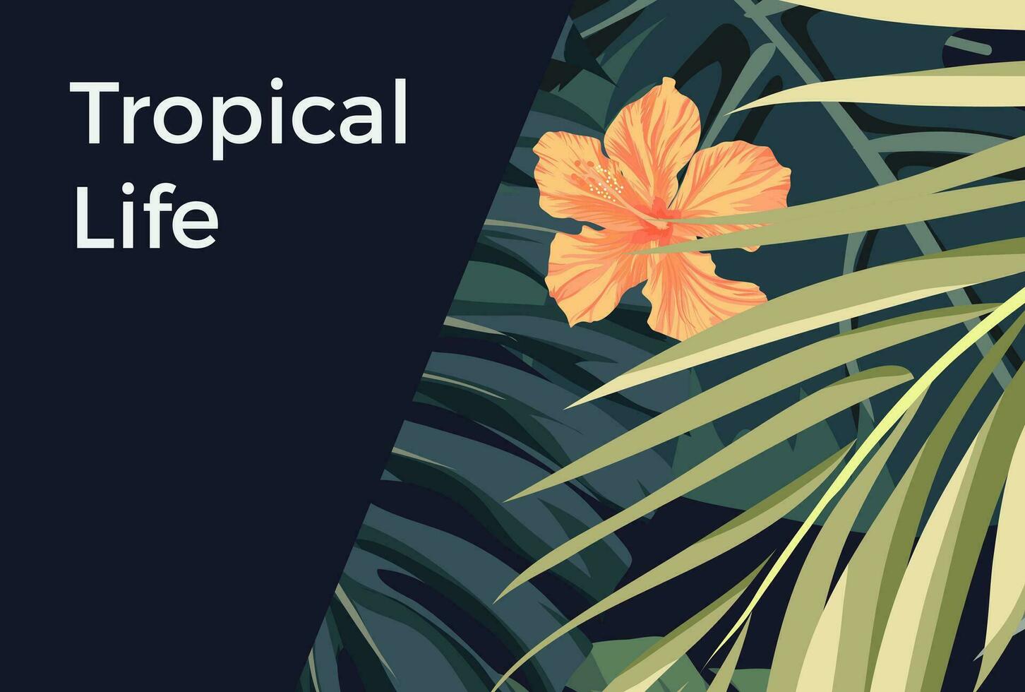 tropical life - a guide to the world's most beautiful places vector