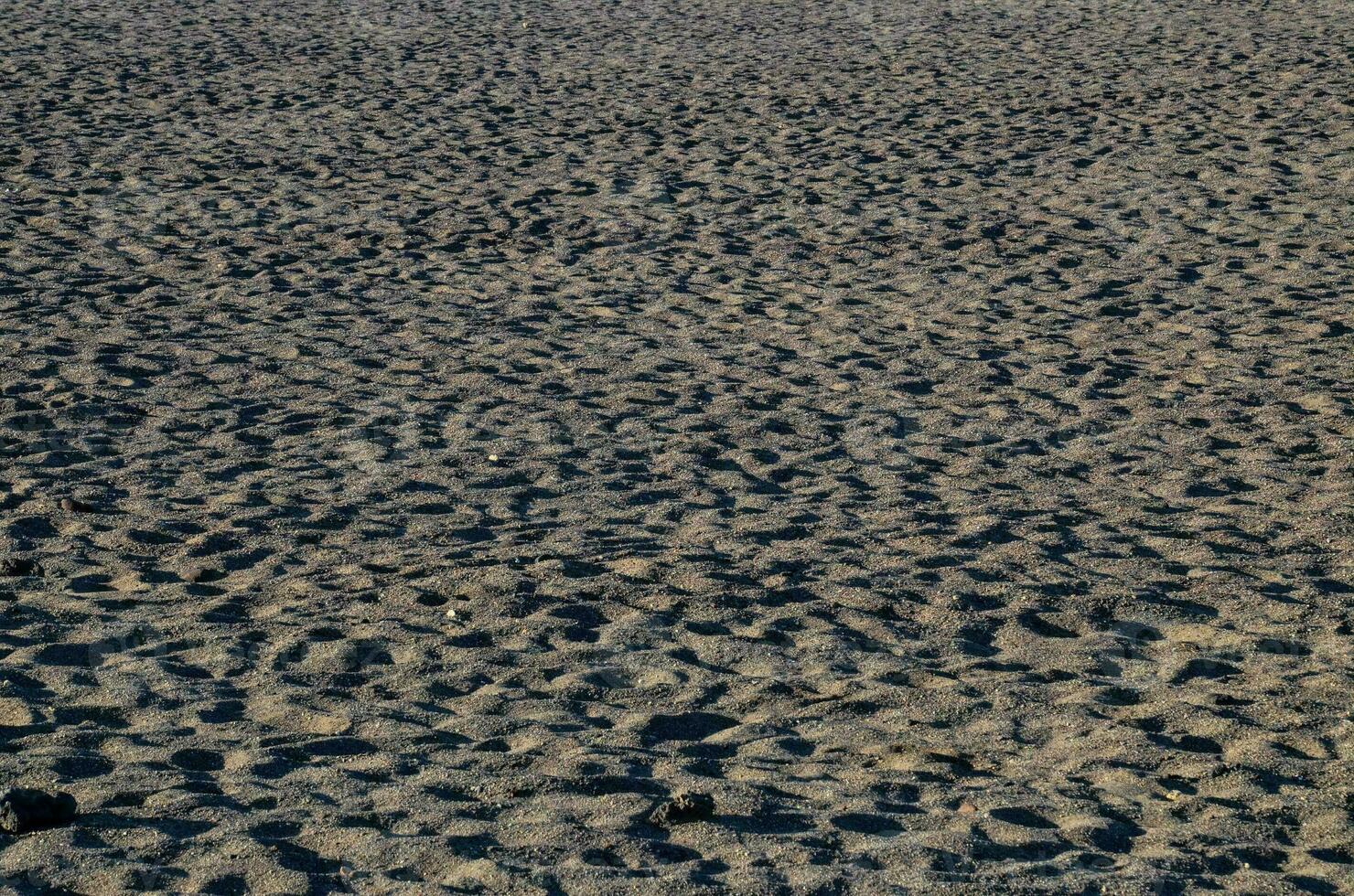 a beach with footprints in the sand photo