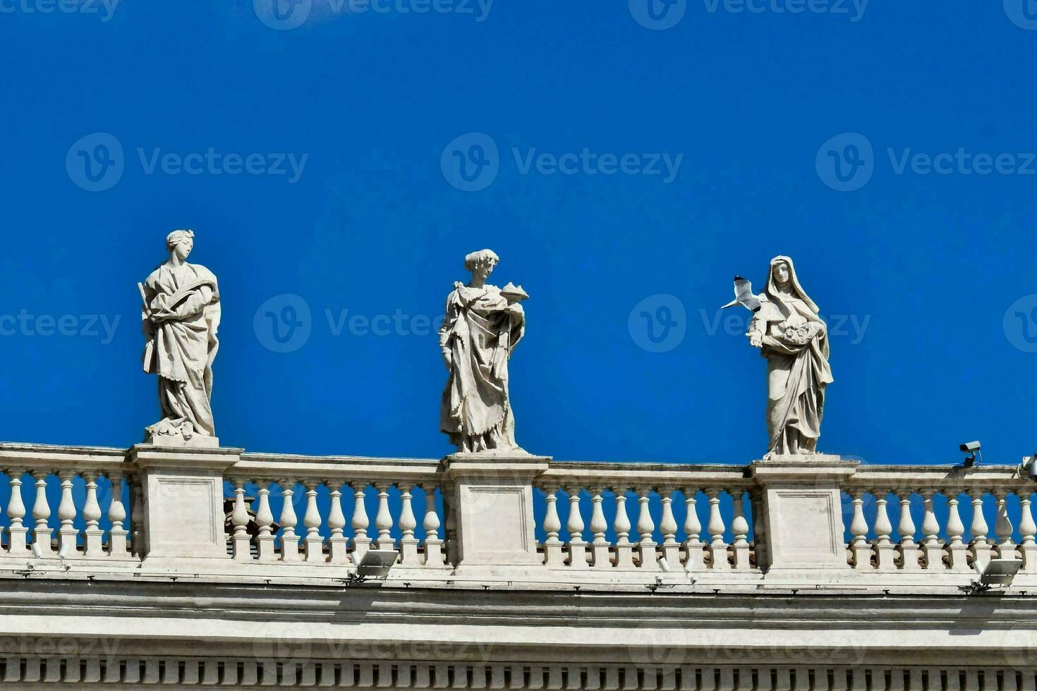 Saint Peter's Square statues photo