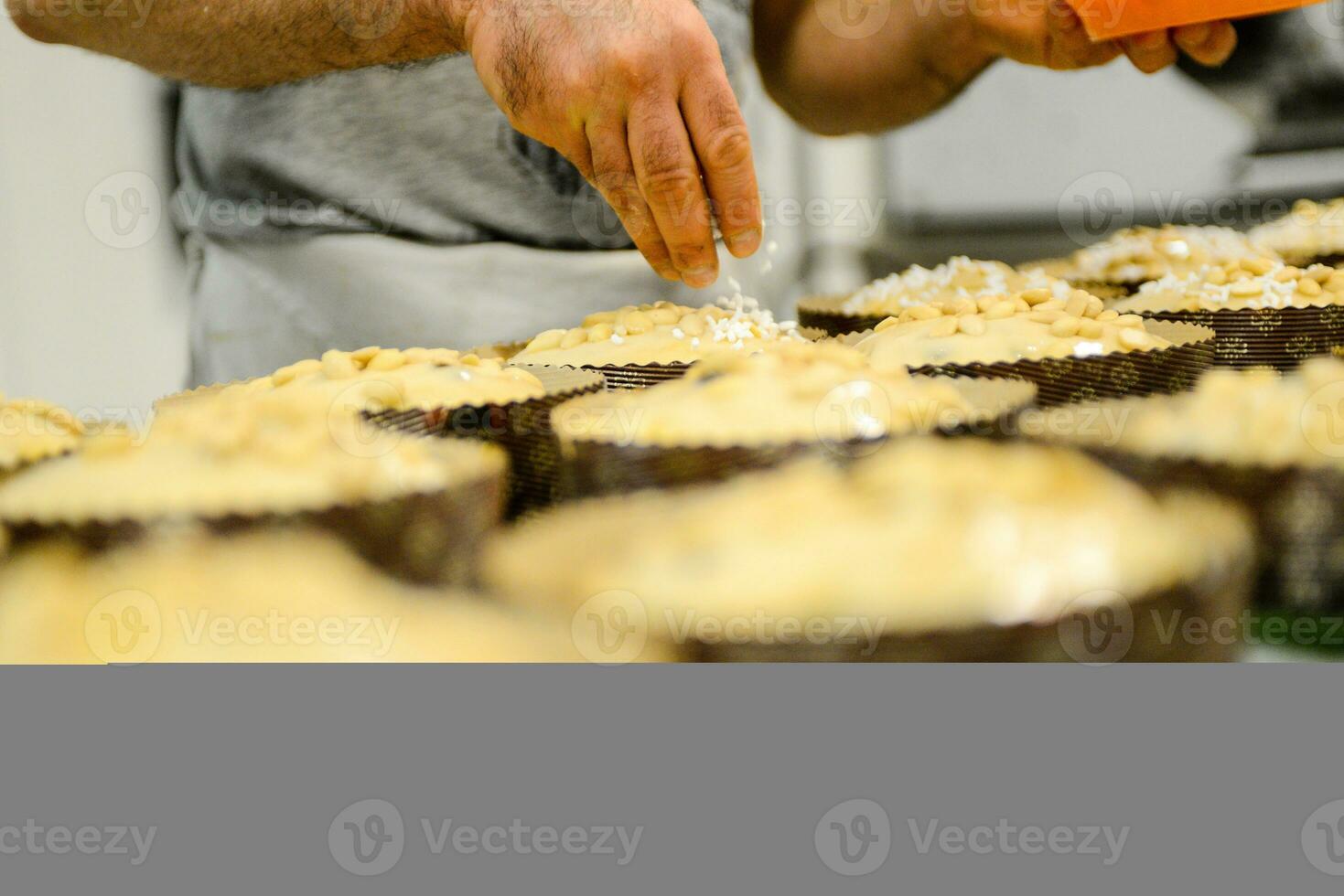 chef producing panettone, while lievitate, adding almond sugar topping to raw sweet bread. photo