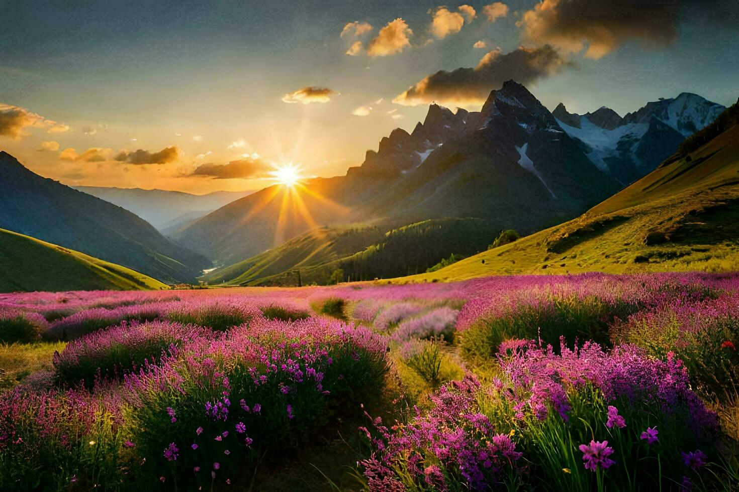 the sun rises over the lavender fields in the mountains. AI-Generated photo