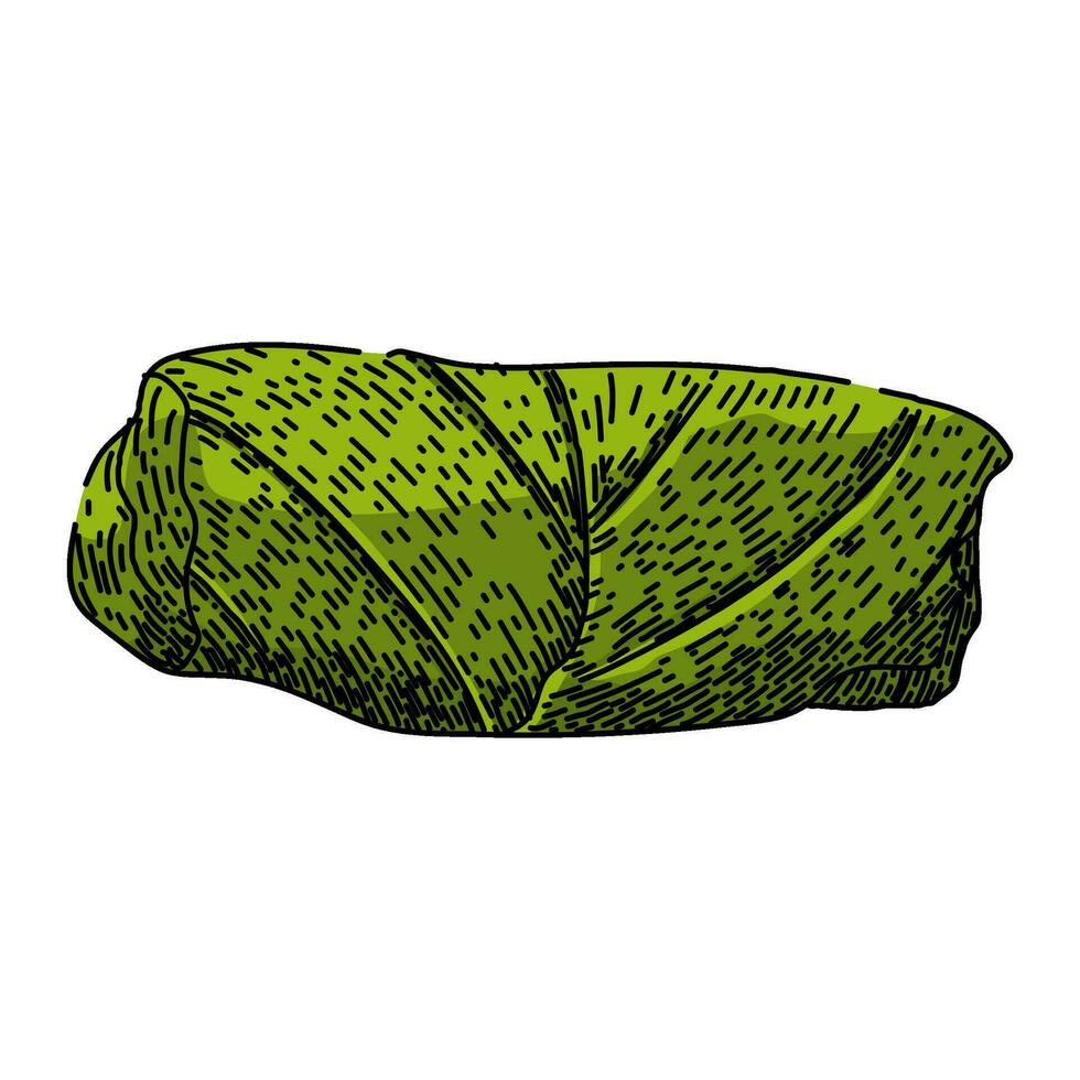dinner dolma sketch hand drawn vector