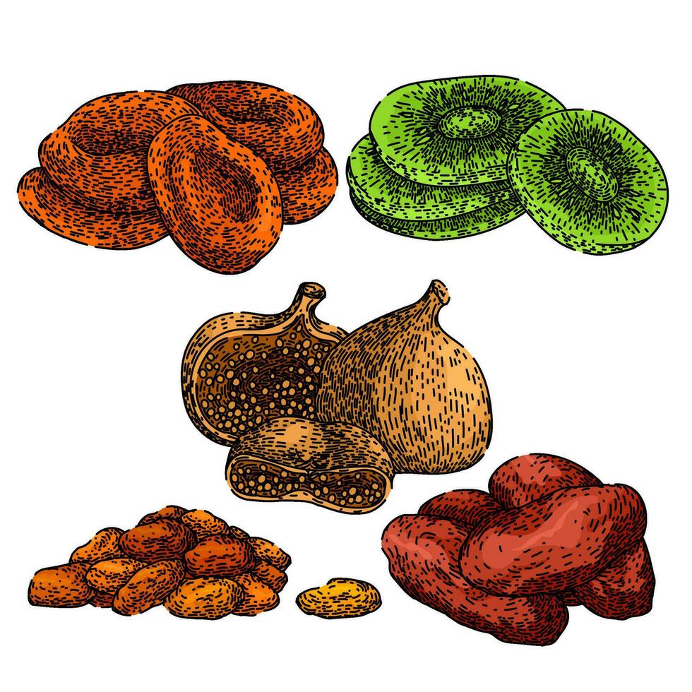 dried fruit set sketch hand drawn vector