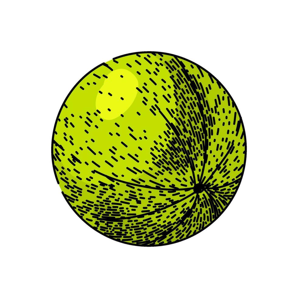 healthy gooseberry sketch hand drawn vector