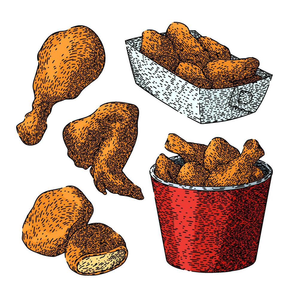 fried chicken set sketch hand drawn vector