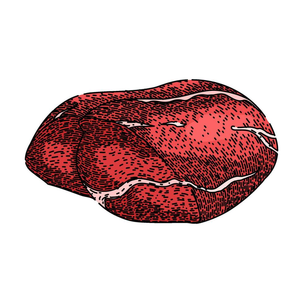 butcher meat sketch hand drawn vector