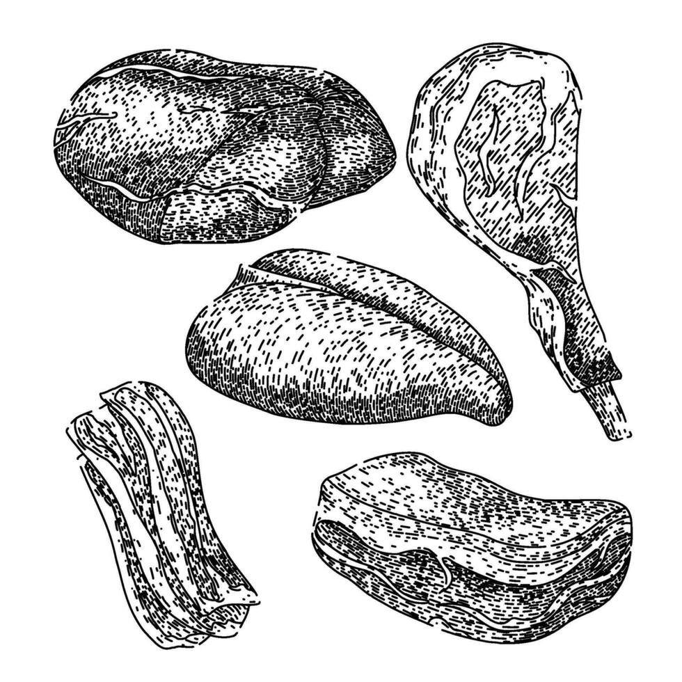 meat set sketch hand drawn vector