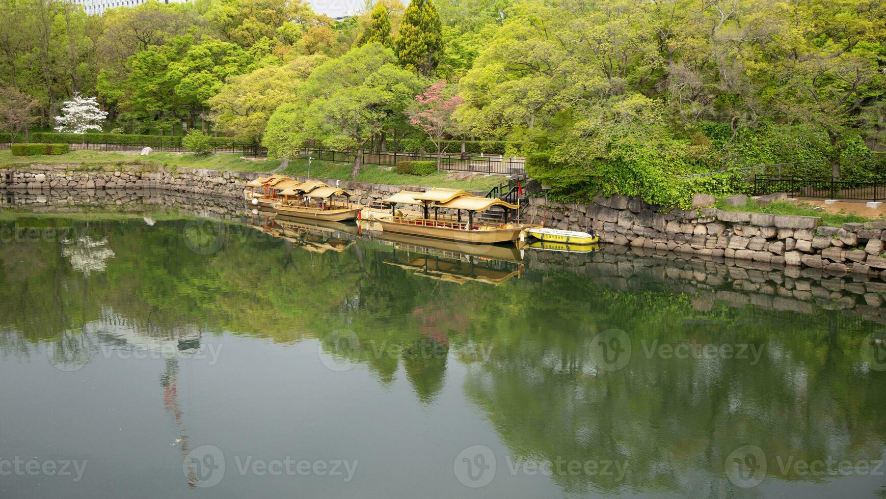 Beatiful lake in the natural park. photo