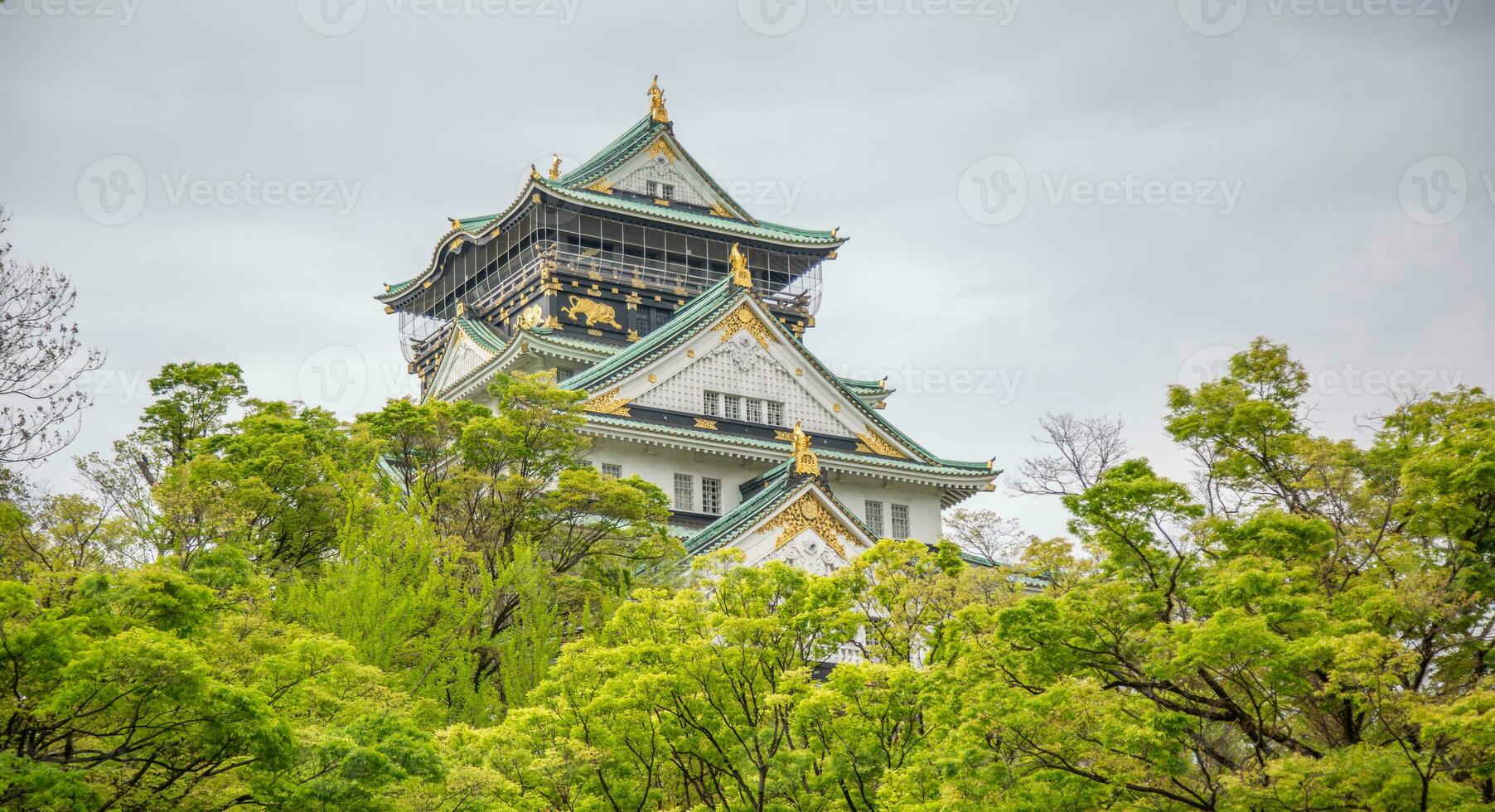 Osaka castel in April. photo